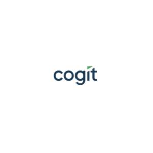 Narzędzia business intelligence co to jest - Wdrożenia business intelligence - Cogit